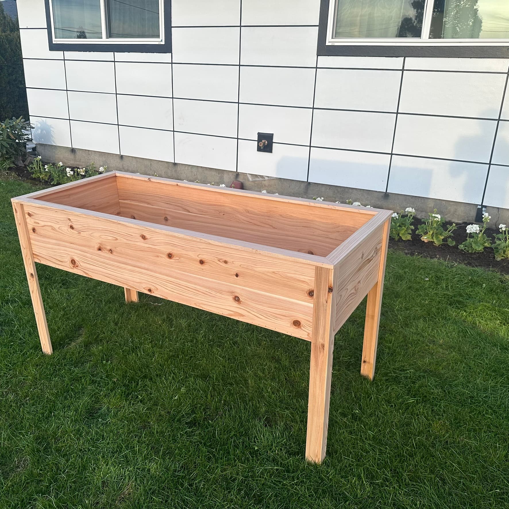 Standing-height cedar raised planter showing interior depth, angled view