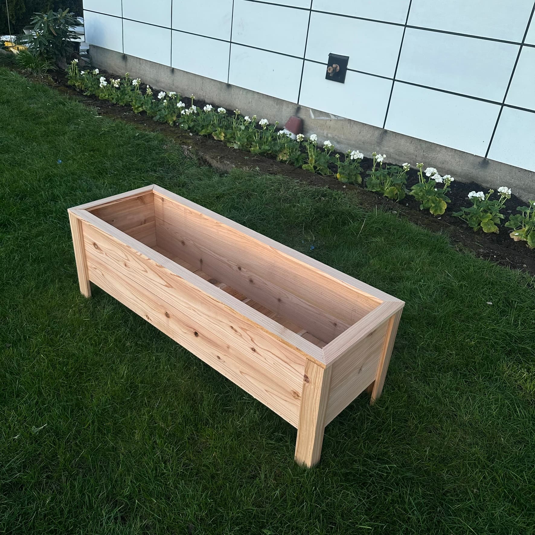 Long cedar raised bed showing interior from above, elevated angle on lawn